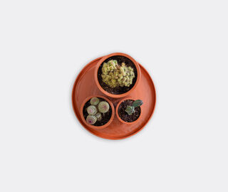 Basis 'Terracotta' saucer with three pots TERRACOTTA BASI22TER985CIN