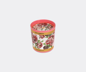 Dolce&amp;Gabbana Casa 'Musk Rose' scented candle MULTICOLOUR DGCA23PER390MUL