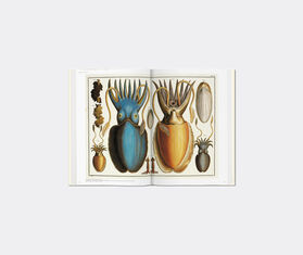 Taschen 'Seba: Cabinet of Natural Curiosities' MULTICOLOUR TASC22SEB064MUL