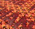 Seletti 'Burnt Carpet, Freedom' multicolor SELE23CAR308RED