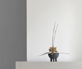 101 Copenhagen 'Duck' bowl, dark grey GREY COPH21DUC251GRY