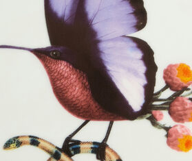 La DoubleJ 'Butterbird' trinket tray, multicolor MULTICOLOR LADJ26TRI053MUL