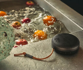 Bang &amp; Olufsen 'Beosound A1' 2nd Gen, black BLACK BAOL20BEO842BLK