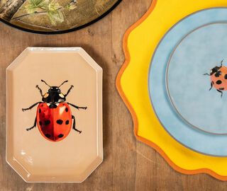Les-Ottomans 'Ladybug' tray, beige and red MULTICOLOUR OTTO25PRI409MUL