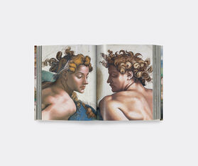 Taschen &#39;Michelangelo. The Complete Works. Paintings, Sculptures, Architecture&#39; MULTICOLOUR TASC22MIC122MUL