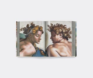 Taschen 'Michelangelo. The Complete Works. Paintings, Sculptures, Architecture' MULTICOLOUR TASC22MIC122MUL