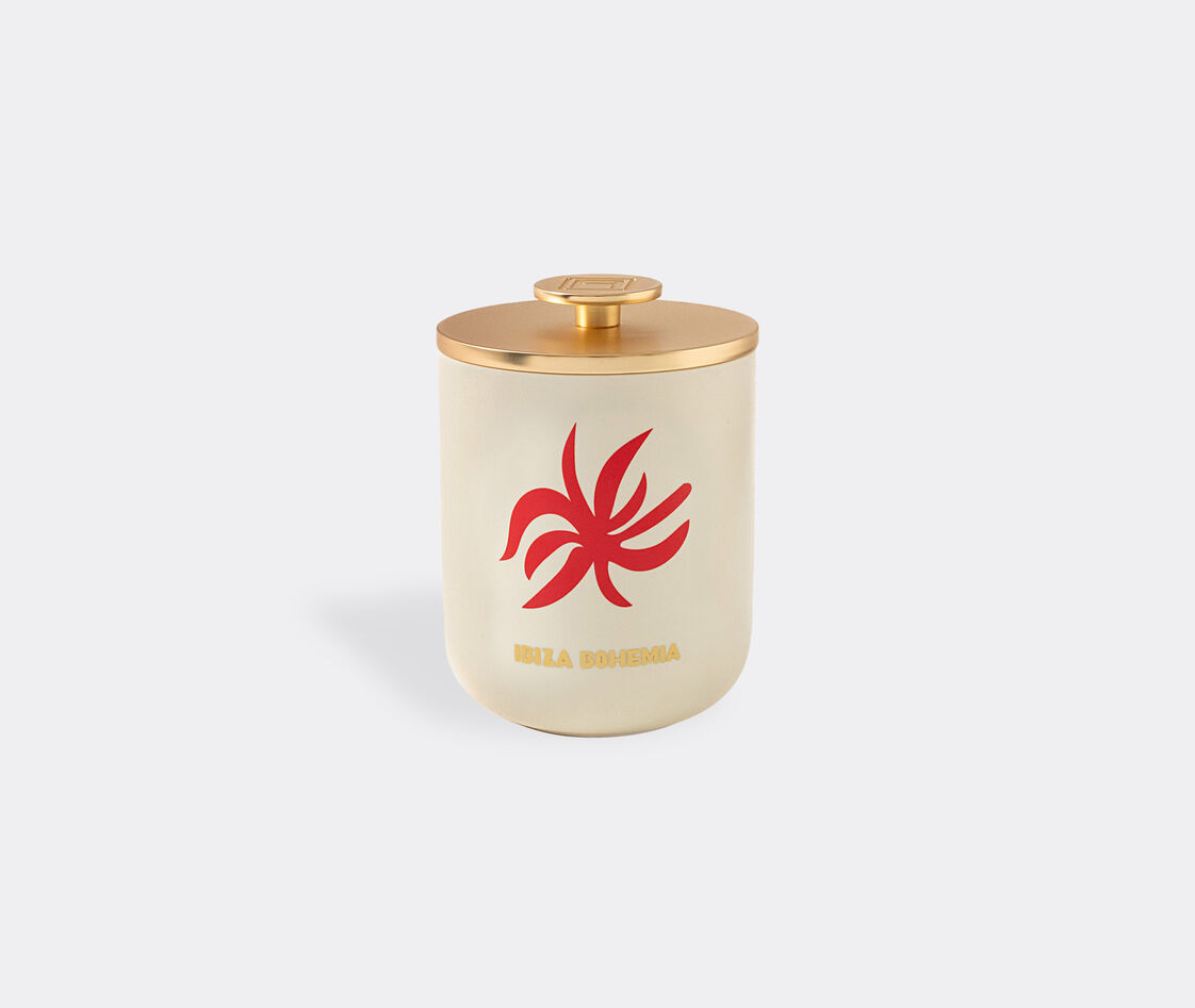 Shop Assouline Candlelight And Scents Pink Uni