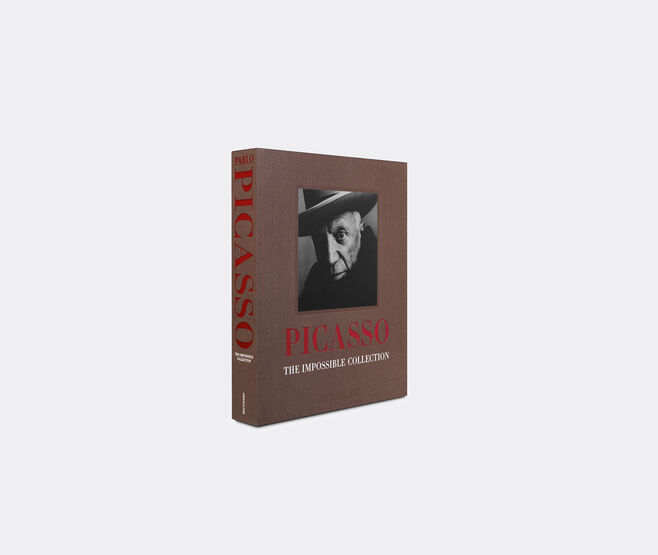 Assouline 'Pablo Picasso: The Impossible Collection' BROWN ASSO19PAB619BRW