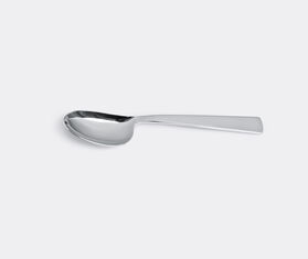 Sambonet 'Gio Ponti' Conca serving spoon MULTICOLOUR SAMB15SER075SIL