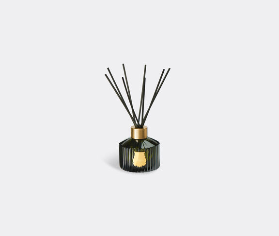 Trudon 'Ernesto' reed diffuser GREEN CITR21ERN318GRN