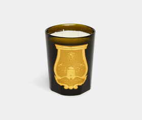 Trudon &#39;Abd El Kader&#39; candle, great GREEN CITR22ABD011GRN