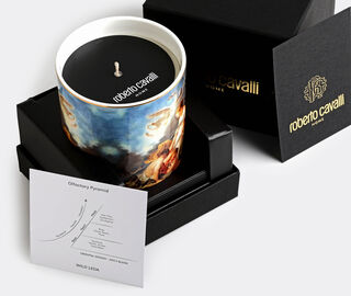 Roberto Cavalli Home 'Wild Leda' scented candle MULTICOLOUR RCHO23WIL226MUL