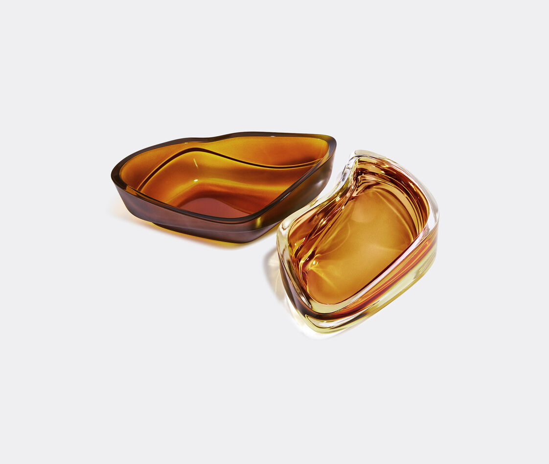 Shop Zaha Hadid Design Decorative Objects Amber 2
