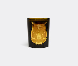 Trudon 'Cyrnos' candle, large GREEN CITR21CYR079GRN