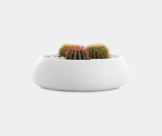 Diabla 'Gobi 4' planter WHITE DIAB20GOB048WHI