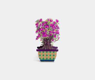 VESTA 'Magnolia Bonsai' diffuser, large, pink VIOLET VEST26BON397PUR