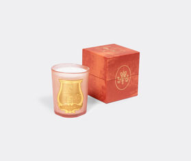 Trudon 'Tuileries' candle, large PINK CITR23SCE450PIN