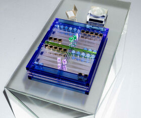 Reflections Copenhagen &#39;Brilliant&#39; backgammon set, multicolor MULTICOLOUR REFL24BRI121MUL