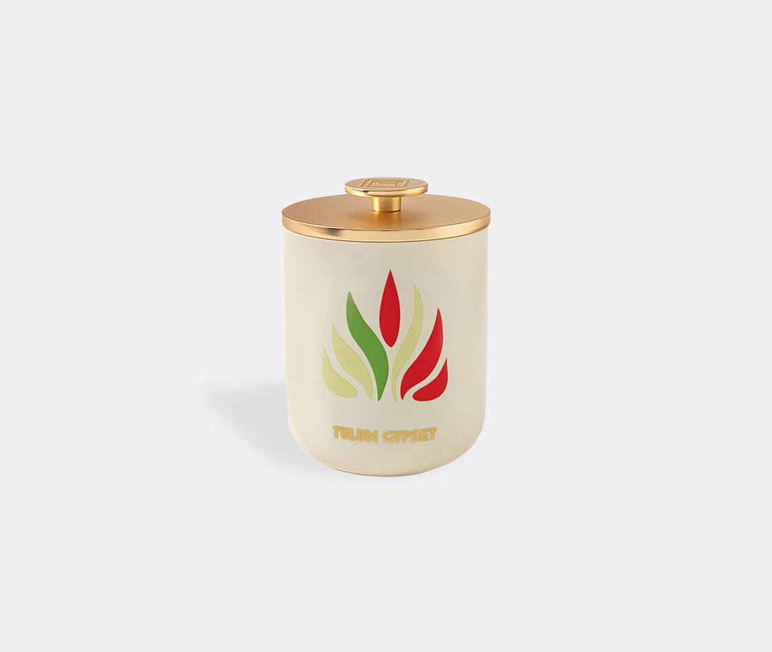Shop Assouline Candlelight And Scents Green Uni