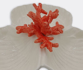 Les-Ottomans 'Coral' starter plate, three shells MULTICOLOUR OTTO23STA316MUL