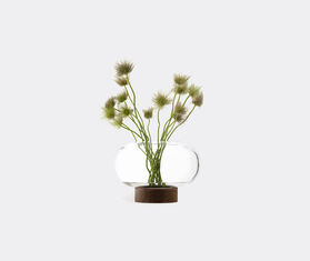 LSA International &#39;Oblate&#39; vase, wide TRANSPARENT LSAI21OBL721TRA