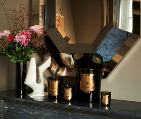 Trudon &#39;Abd El Kader&#39; candle, great GREEN CITR22ABD011GRN