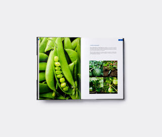 Phaidon 'Unelaborated Products' BLUE PHAI22UNE667BLU