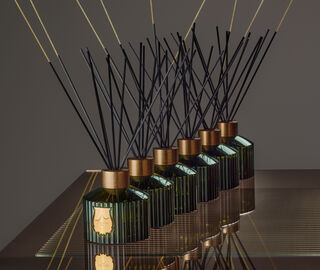 Trudon 'Ernesto' reed diffuser GREEN CITR21ERN318GRN