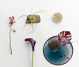 Ichendorf Milano 'Kenzan' set, blue and pink MULTICOLOUR ICMI24KEN977MUL