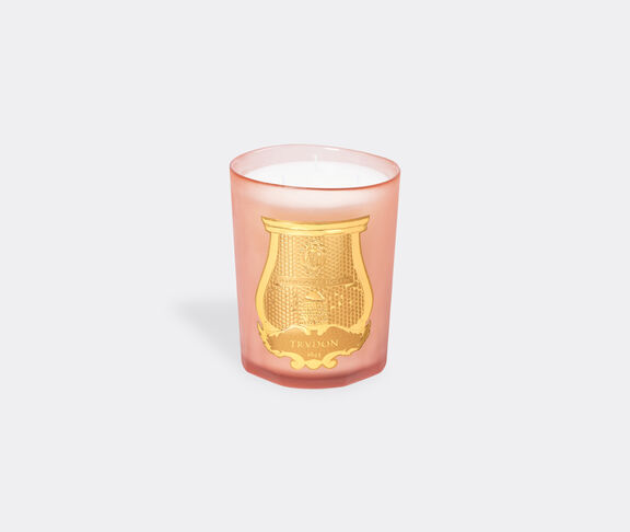 Trudon Scented Candle 800G - Tuileries undefined ${masterID} 2