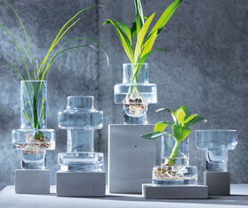 LSA International &#39;Metropole&#39; mini vases, set of five TRANSPARENT LSAI20MET401TRA