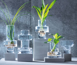 LSA International 'Metropole' mini vases, set of five TRANSPARENT LSAI20MET401TRA