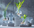 LSA International 'Metropole' mini vases, set of five Clear LSAI20MET401TRA