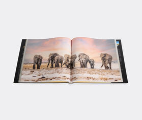 Rizzoli International&nbsp;Publications &#39;Experiencing Africa: On Safari The People The Land&#39; MULTICOLOUR RIZZ25EXP880MUL