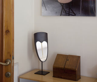 Col&eacute; 'Wise - Eze' mirror BLACK COIT20WIS412BLK