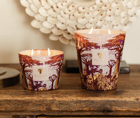 Baobab Collection 'Sacred Trees Massasso' candle, medium, violet PURPLE BAOB25SCE851PUR