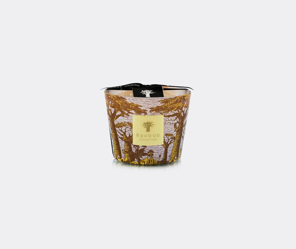 Baobab Collection Scented Candel Max 10 Sacred Trees Cocody undefined ${masterID} 2
