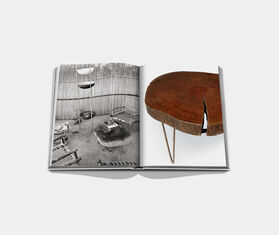 Assouline Jeanneret: Chandigarh MULTICOLOUR ASSO19JEA998MUL