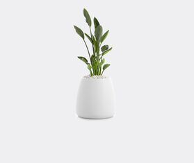 Diabla &#39;Gobi 1&#39; planter WHITE DIAB20GOB178WHI
