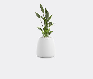 Diabla 'Gobi 1' planter WHITE DIAB20GOB178WHI