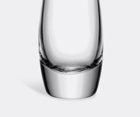 LSA International 'Flower Single Stem' vase TRANSPARENT LSAI20FLO006TRA