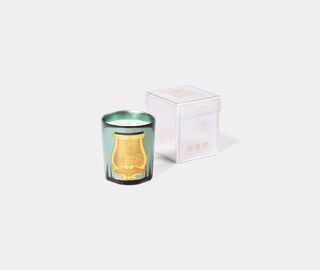 Trudon 'Fir' scented candle, small, celadon GREEN CITR26FIR169GRN