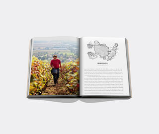 Assouline Wine &amp; Travel France' ORANGE ASSO24WIN849ORA