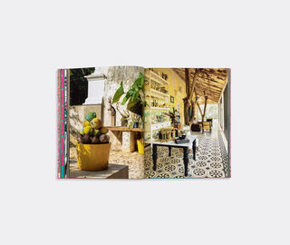 Vendome 'Inside Yucat&aacute;n: Hidden Merida And Beyond' MULTICOLOUR VEND25INS457MUL