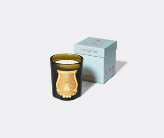 Trudon 'Gabriel' candle GREEN CITR20GAB570GRN