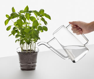 Ichendorf Milano 'Boboli' watering can TRANSPARENT ICMI19BOB414TRA