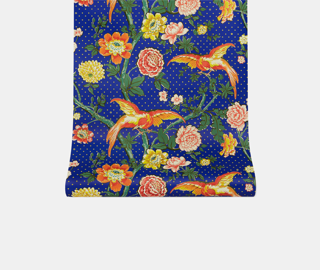 Gucci Wallpapers Blue In Blue, Orange