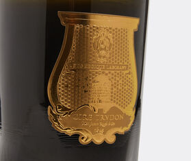 Trudon 'Ernesto' candle, great GREEN CITR21ERN059GRN