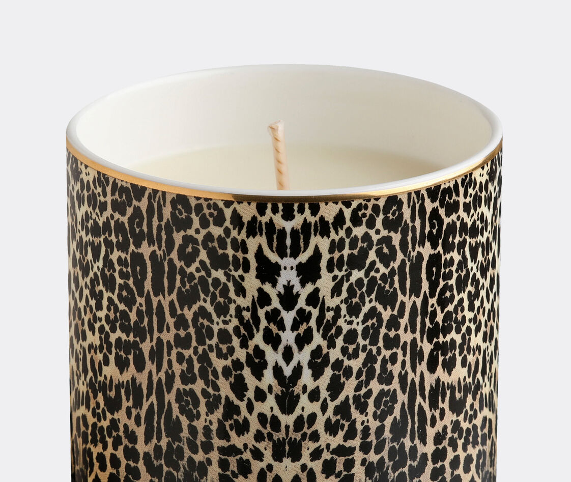 Shop Roberto Cavalli Home Candlelight And Scents Multicolor Uni