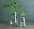 Kinto 'Aqua Culture' vase, small  KINT16AQU705TRA